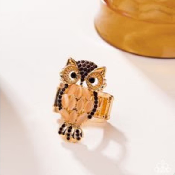 🦉🤎🦉 “OWL OBSESSION” BROWN OWL RING ~ PAPARAZZI❗️🦉🤎🦉 - Picture 2 of 4